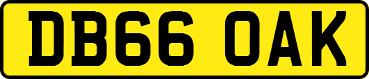 DB66OAK