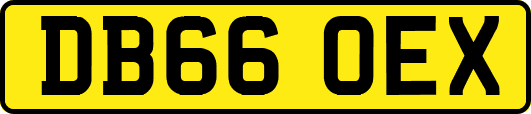 DB66OEX