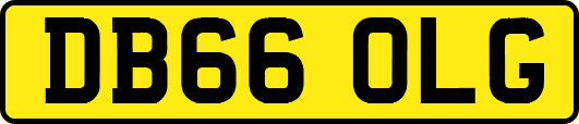 DB66OLG