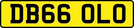 DB66OLO
