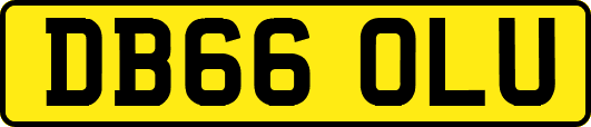 DB66OLU