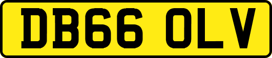 DB66OLV