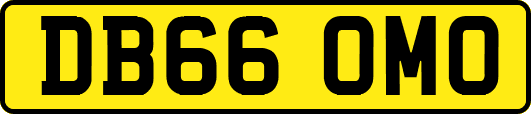 DB66OMO