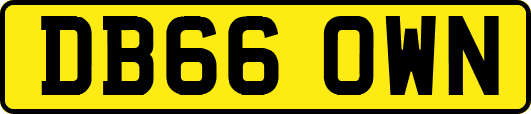 DB66OWN