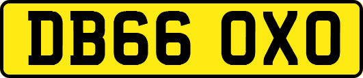 DB66OXO
