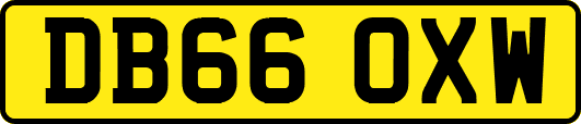 DB66OXW