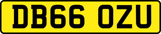 DB66OZU
