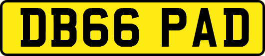 DB66PAD