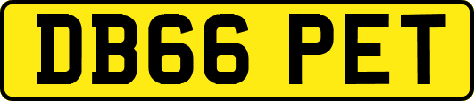 DB66PET