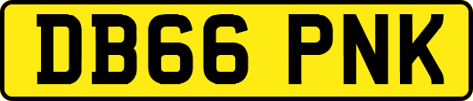 DB66PNK