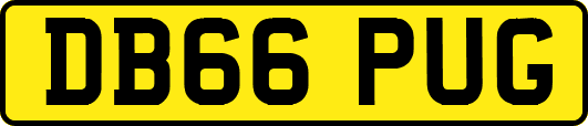 DB66PUG