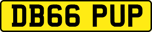 DB66PUP