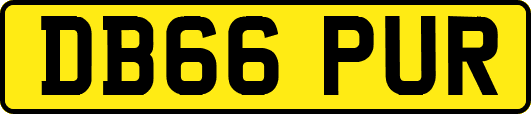 DB66PUR