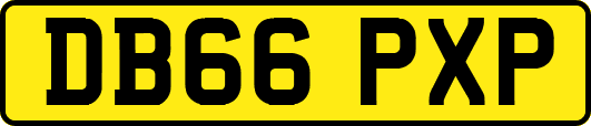 DB66PXP
