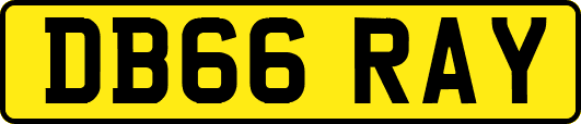 DB66RAY