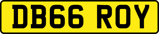 DB66ROY