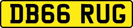DB66RUG
