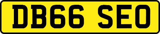 DB66SEO