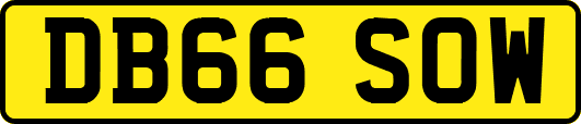 DB66SOW