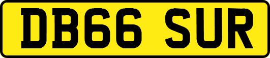 DB66SUR