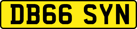 DB66SYN