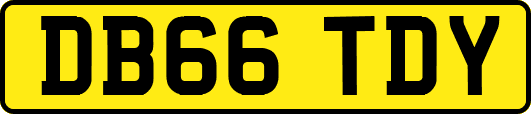 DB66TDY