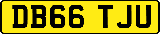 DB66TJU