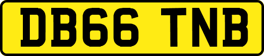 DB66TNB