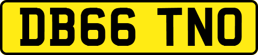 DB66TNO