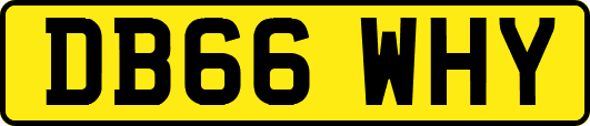DB66WHY
