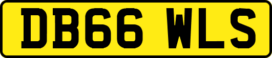 DB66WLS