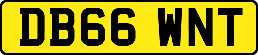 DB66WNT