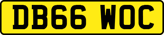 DB66WOC