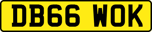 DB66WOK