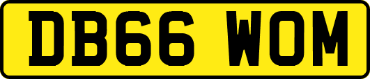 DB66WOM