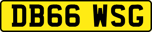 DB66WSG