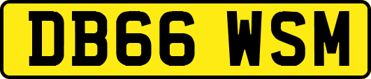 DB66WSM