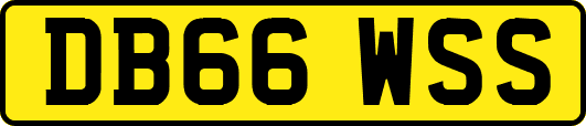 DB66WSS