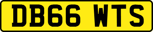 DB66WTS