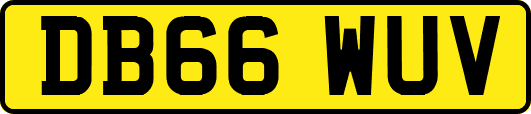 DB66WUV