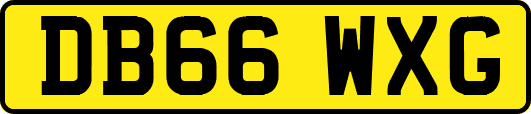 DB66WXG