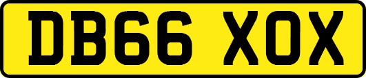 DB66XOX