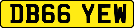 DB66YEW