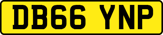 DB66YNP