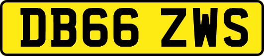 DB66ZWS