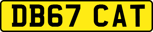 DB67CAT