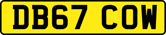 DB67COW