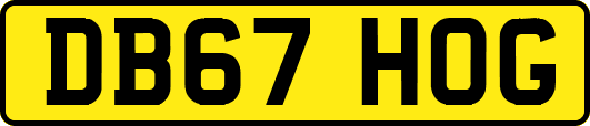 DB67HOG