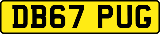 DB67PUG