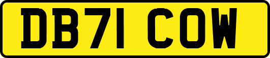 DB71COW